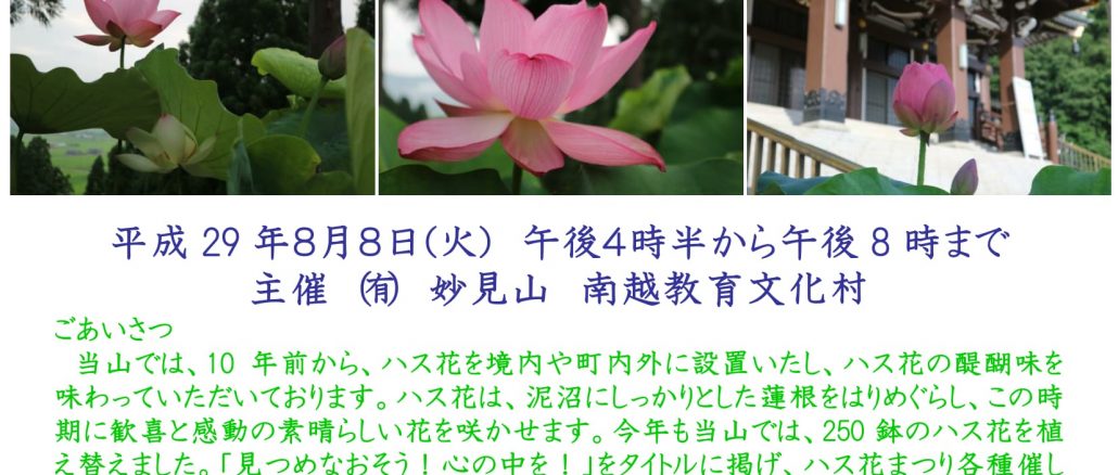 ハス花祭り